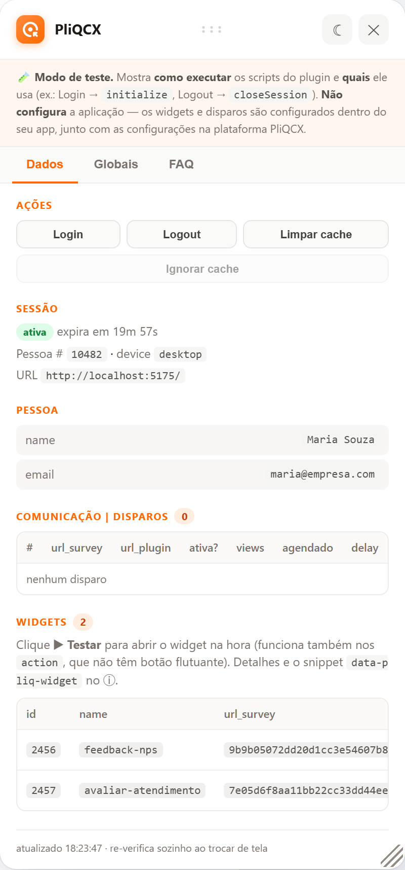 Painel de debug com sessão ativa, pessoa e widgets